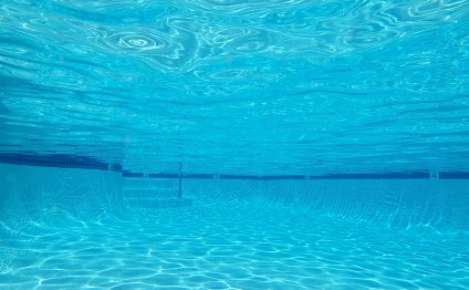 Swimming Pool Cleaners