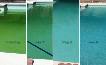 Chlorine Questions [Archive]