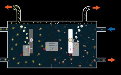 Membrane cell process for