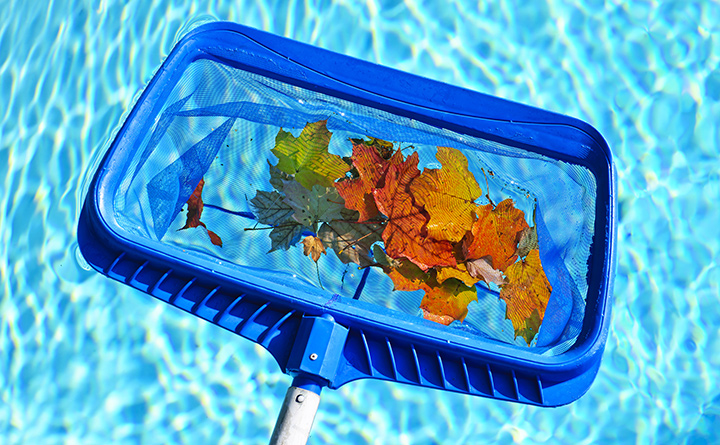 Pool Maintenance Tips