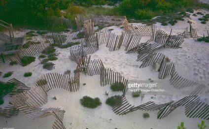 Protective fences for dunes at