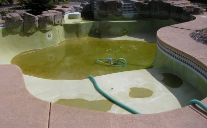 Kersey Pool Service