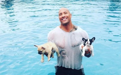 The Rock heroically rescues