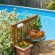 Above Ground pool Chemicals