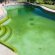 Swimming pool water green