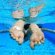 What is in swimming pool water?