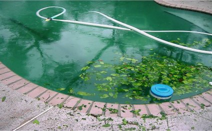Removing leaves from Pool