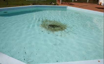 How to Shock a Swimming pool?