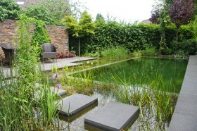 All-natural pool pond and water yard with stepping-stones - BioNova, NJ