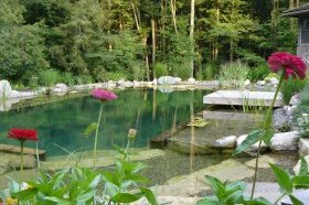 All-natural pool chemical-free share plants landscaping - John's Pools & Ponds, ON - BioNova