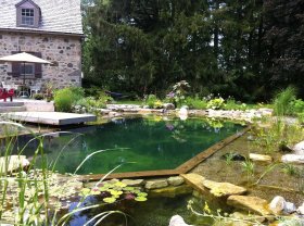 Natural swimming pool landscaping - John's Pools & Ponds, ON - BioNova