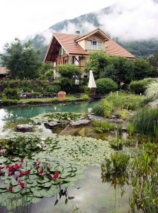 natural children's pool pond aquatic flowers - BioNova - chemica-free share