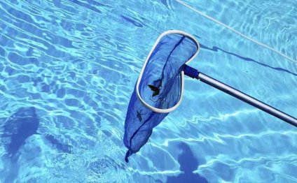 Pool Cleaning for Dummies
