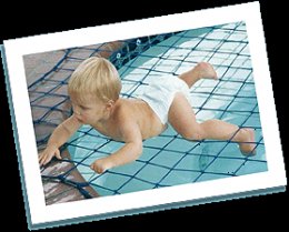 pool protection nets