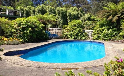 How to Fix a green Swimming pool?