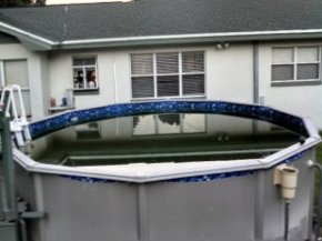 pool algae,algae children's pool,algae in pool,green algae pool,algae in share,cloudy swimming pool,pool water maintenance,green share water