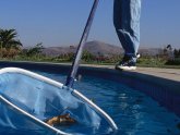 Cheap Pool Cleaning Services