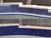 How to Cleaning Pool Tile?