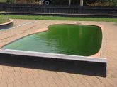 Pool water is green