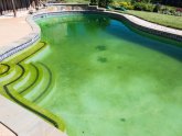 Swimming pool water green