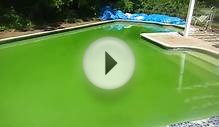 Green slime pool