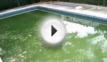 How to clean a Green Pool "The Swamp" Day 1