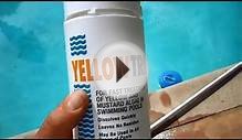 How To Remove Algae from a Swimming Pool