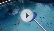 Leaf skimmer net pool cleaning basics lesson quick tip part 2