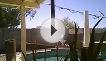 Mesh Pool Fence Install Vid 3-timelapse