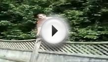 Pool Fence Jump Fail