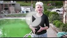 Removing Algae From a Swimming Pool : Key Components of