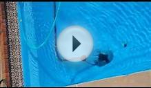Stingray Inground Above Ground Swimming Pool Automatic
