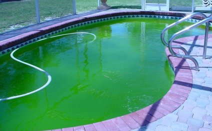 How to treat green pool water?